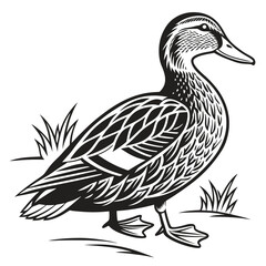 Duck Silhouette, Black and White Bird Illustration, Wildlife Animal, Waterfowl Outline