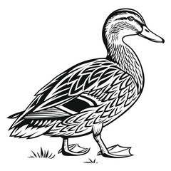 Duck Walking Line Art, Simple Black and White Bird Illustration, Wild Animal Outline