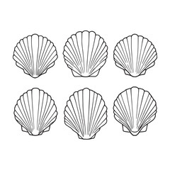 Elegant White Jacobean Scallop Shell Line Art Design