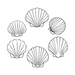 Fine Line Art of Elegant White Jacobean Scallop Shell Design
