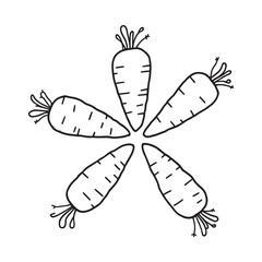 Fresh baby carrots hand drawn line art illustration