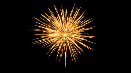 Obraz premium Golden firework burst with sparkling trails radiating against black night sky, creating festive and celebratory atmosphere perfect for New Year Eve or special events