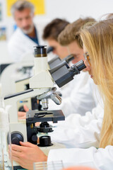 Row of students looking into microscopes