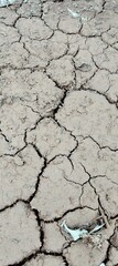Cracked land in the dry season 