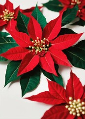 red poinsettia flower