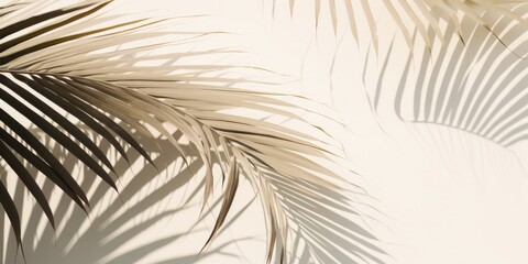 Obraz premium Elegant play of light and shadow through delicate palm fronds on a soft background evokes a serene and tropical atmosphere.