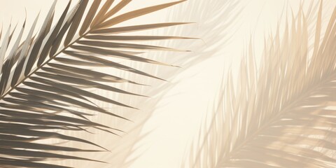Obraz premium Serene sunlight filtering through overlapping palm leaves casting intricate shadows