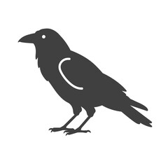 Obraz premium Raven Silhouette in Profile: A striking silhouette of a raven stands majestically, capturing the essence of the intelligent and mysterious bird against a clean backdrop.