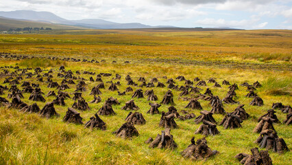 Tourbière irlandaise, Donegal, Irlande