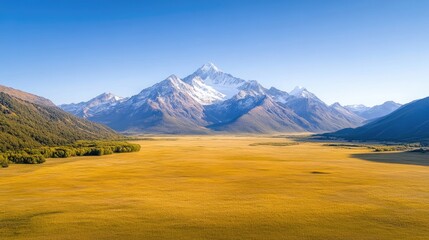 Majestic snow-capped mountain range towering over expansive golden valley, clear blue sky, serene natural landscape, and scenic wilderness view.