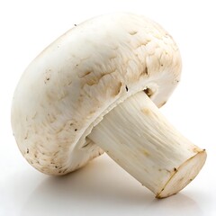 White button mushroom whole with stem, isolated on white background