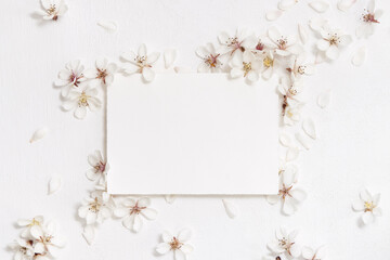Blank horizontal paper card near white cherry flowers top view, spring wedding mockup