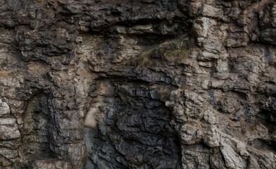 Close-up view of rough, dark, and textured rock formations with varied shades of brown and gray, showing crevices and layers