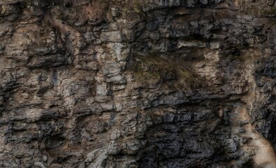 Close-up view of rough, layered rock face with various shades of brown, gray, and black.  Patches of moss and dampness visible
