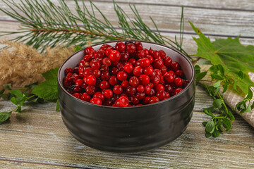 Natural organic wild forwst lingonberry