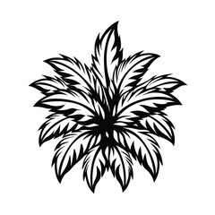 Bold Silhouette of Tropical Palm Fronds Isolated, Black and White Exotic Foliage