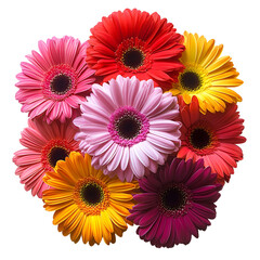 Vibrant Gerbera Daisy Bouquet Colorful Flowers