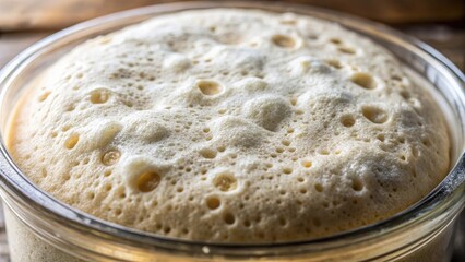 Close-up shot of a frothy, bubbly sourdough bread dough starter with visible yeast fermentation and carbon dioxide release , fermentation, sourdough