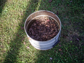 Tin bucket with fallen leaves in autumn