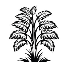 Bold Black Tropical Foliage Silhouette, Lush Leaves, Exotic Plant, Isolated on White