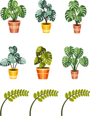 set of houseplants monstera element vector illustration