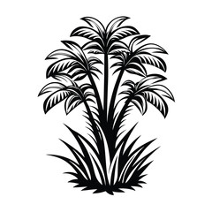 Tropical Palms Silhouette Isolated, Black Foliage, Exotic Flora, Black and White Trees