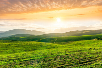 Fototapeta premium green spring or fummer farm field. rural landscape of countryside wirh agriculture view in farmland with beautiful cloudy sky on background