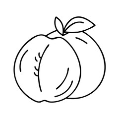 peach icon icon, peach icon vector illustration-simple illustration of peach icon, perfect for peach icon logos and icons
