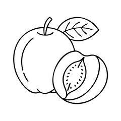 peach icon icon, peach icon vector illustration-simple illustration of peach icon, perfect for peach icon logos and icons