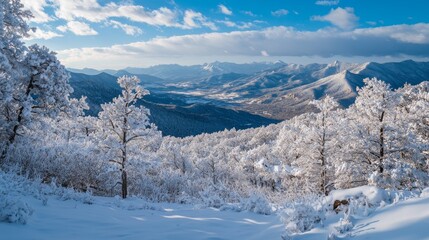 Obraz premium Mountains covered in snow during winter. A snowy winter view of the mountains. 