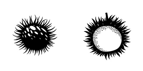 Silhouette pictograms of spiky and smooth fruit designs isolated on a white background for graphic use in creative projects