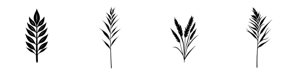 Silhouette pictograms of various leaf designs suitable for nature themes and graphic projects