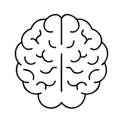 brain icon, brain vector illustration-simple illustration of brain, perfect for brain logos and icons