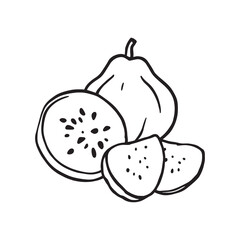 Vector illustration of cherimoya fruit and slice artwork
