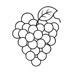 bunch of grapes icon, bunch of grapes vector illustration-simple illustration of bunch of grapes, perfect for bunch of grapes logos and icons