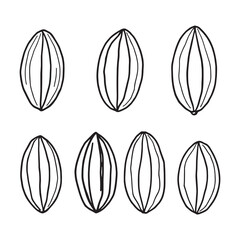 Vector Line Art Cacao Beans for Eco Friendly Design Concepts