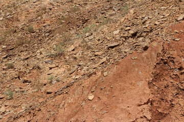 View of Zhangye Danxia landform primarily consists of sedimentary rocks, sandstone and siltstone in Gansu, China