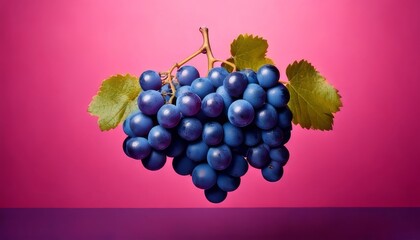 Fresh juicy dark grapes bunch on pink background Vibrant still life  of fruit