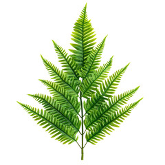 Vibrant fern frond, detailed illustration