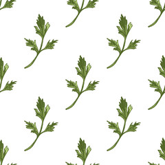 Colored seamless pattern with hand drawn parsley leaves in vintage sketch style