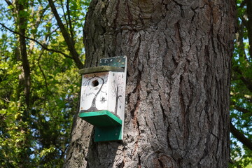 bird house on tree in garden. small bird box