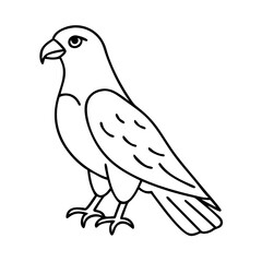 falcon icon, falcon vector illustration-simple illustration of falcon, perfect for falcon logos and icons