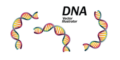 Colorful DNA Helix Icons – Vector Illustration of Genetic Structures