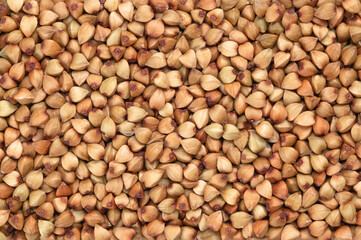 伝統的な日本食である蕎麦の実