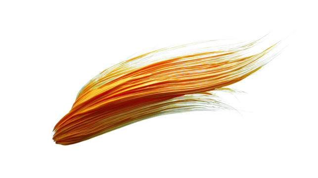 Golden yellow feathers, like harvested wheat in a summer field, are naturally isolated on white