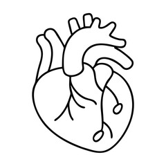 human heart icon, human heart vector illustration-simple illustration of human heart, perfect for human heart logos and icons