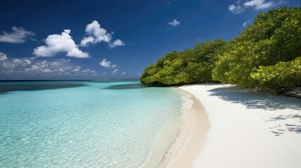 Obraz premium Serene Tropical Beach Scene with Turquoise Waters, White Sand, Lush Greenery, and Beautiful Blue Sky Perfect for Relaxation and Paradise Getaways