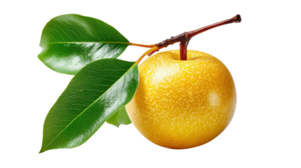 pear with leaf isolated