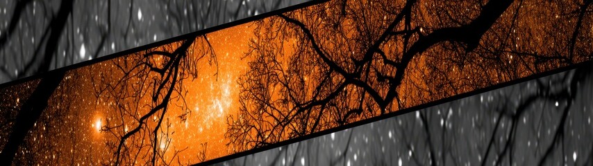 Stunning Double Exposure of a Tree Silhouette Against a Cosmic Background Featuring Vibrant Orange and Starry Elements