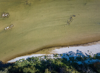The river Isar near Munich, top-down drone shot